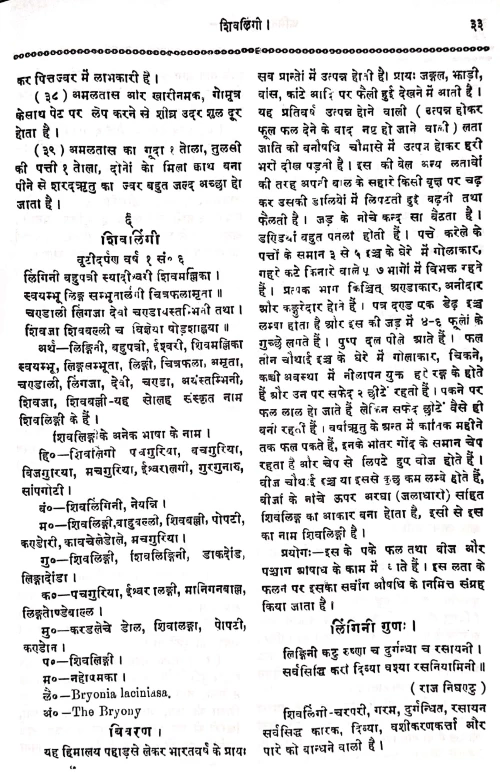 Abhinava Buti Darpana 2vols.